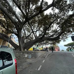 https://la-scalinata.hotelitalianriviera.com